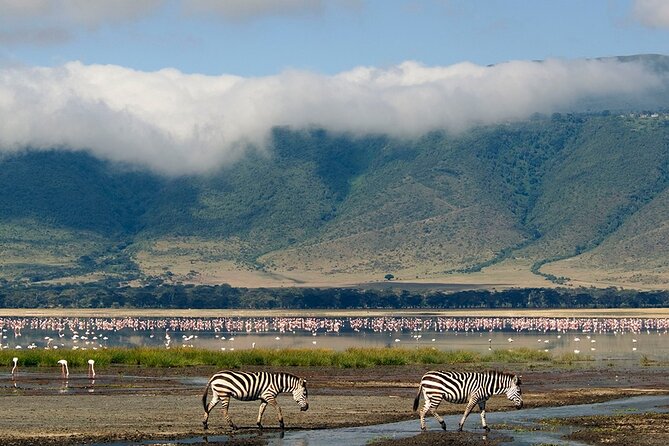 Ngorongoro Crater Day Trip - Overview of the Day Trip