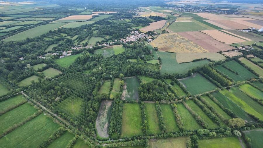 Niort and the Marais Poitevin: Hot-Air Balloon Flight From Coulon