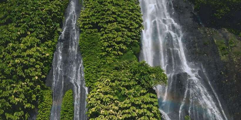 North Bali: Sekumpul and Banyumala Waterfalls & Rice Terrace