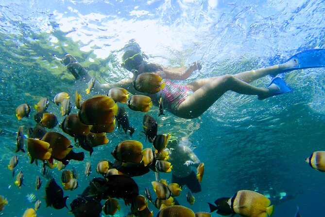 Nusa Penida Snorkeling Tour With Manta Rays