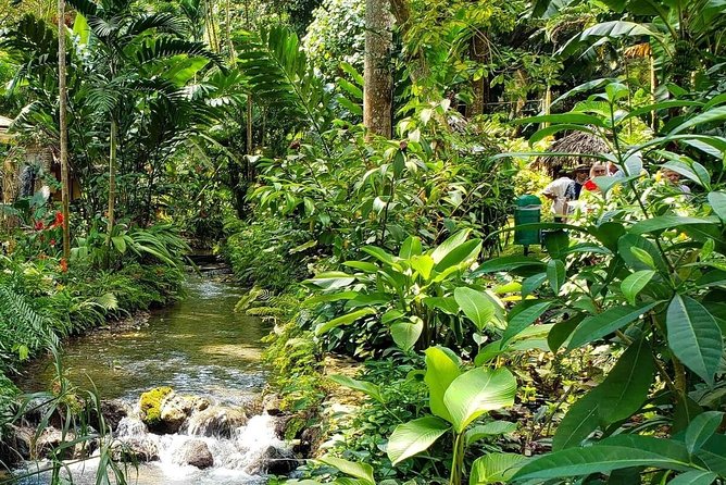 Ocho Rios Highlight & Blue Hole – Full Day Tour