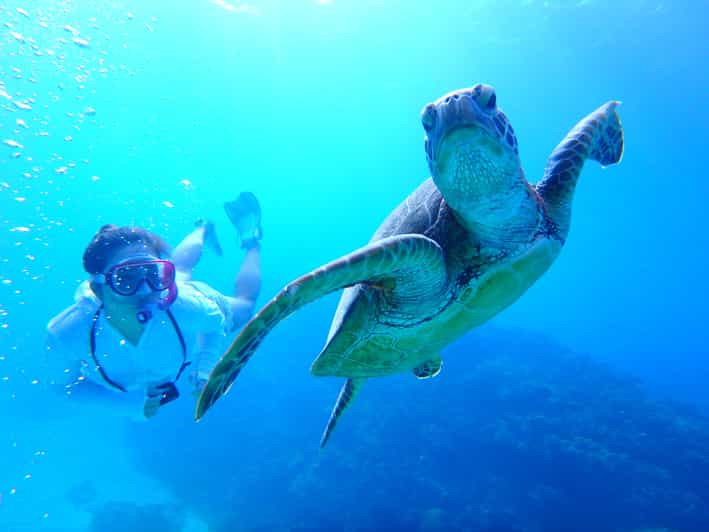 Okinawa : Kerama Whole Day Snorkeling Tour From Chatan