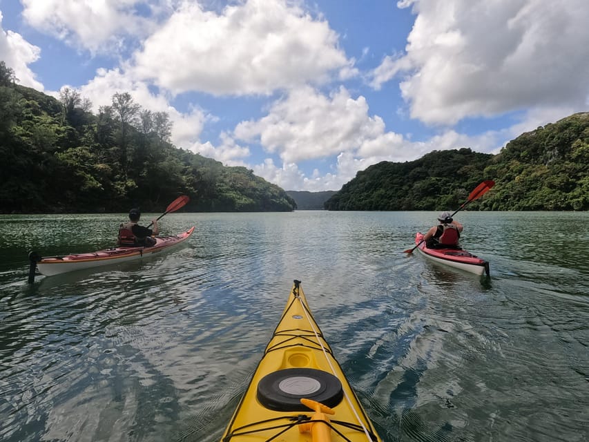 Okinawa: Private Kayak Mangrove or Reef With Native English