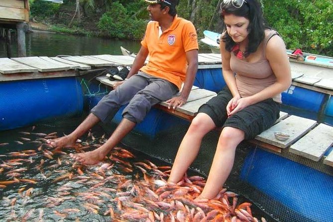 One Day Excursion Galle - Transportation and Meeting Details