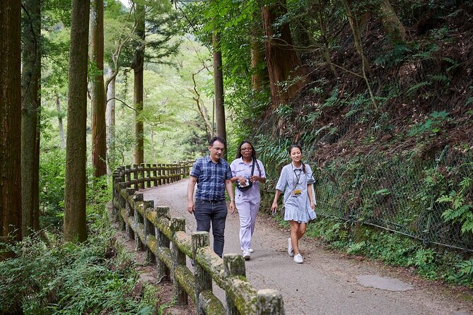 Osaka: 2.5-Hour Private Scenic Hike to Minoo Waterfall - Tour Overview