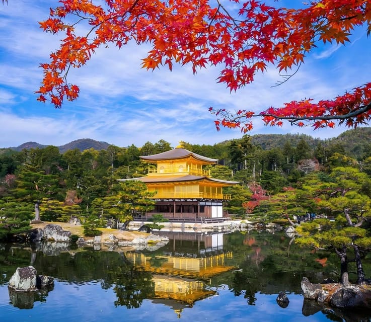Osaka: Kyoto & Uji 1-Day Tour With Buy-One-Get-One-Free!