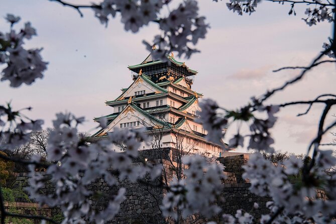 Osaka Private Customizable Sightseeing Tour With Chauffeur