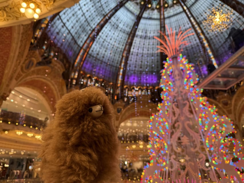 Paris: Christmas Private City Tour by Car