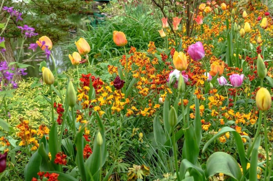 Paris: Giverny Private Half-Day Trip to Monets Garden - Overview of the Trip
