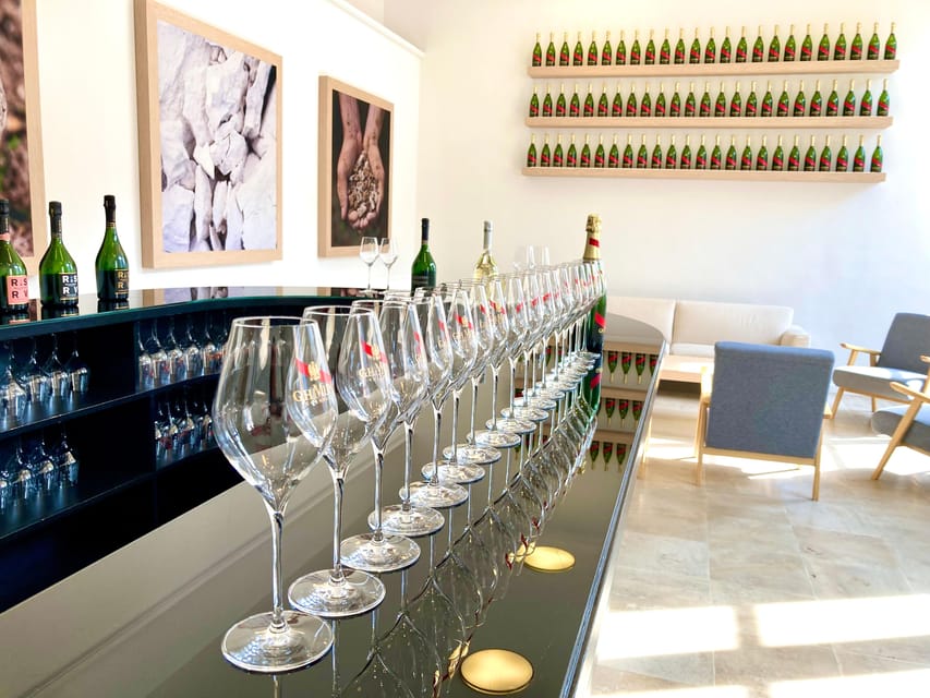 Paris Wine Day Tours All Inclusive Champagne Tour From Paris - Tour Overview and Pricing