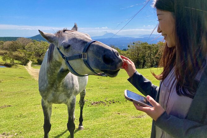 Pasture Hike With Horse Whisperer at Horse Trust in Kagoshima