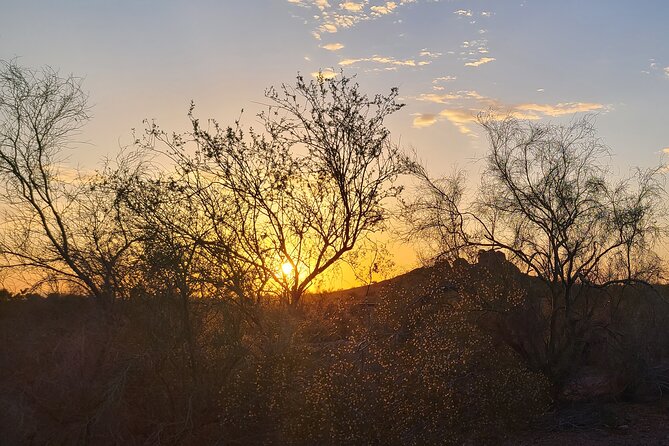 Peaceful Morning Walk Review: A Desert Delight - What to Expect From the Sonoran Desert Journey