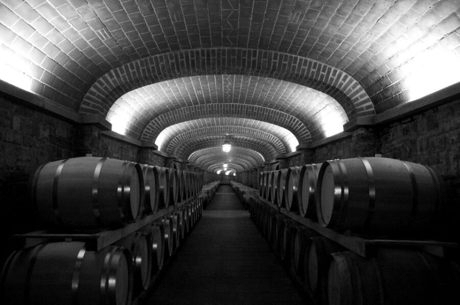 Penedes Wine Cellar Visit With Tasting From Barcelona - Itinerary and Transportation