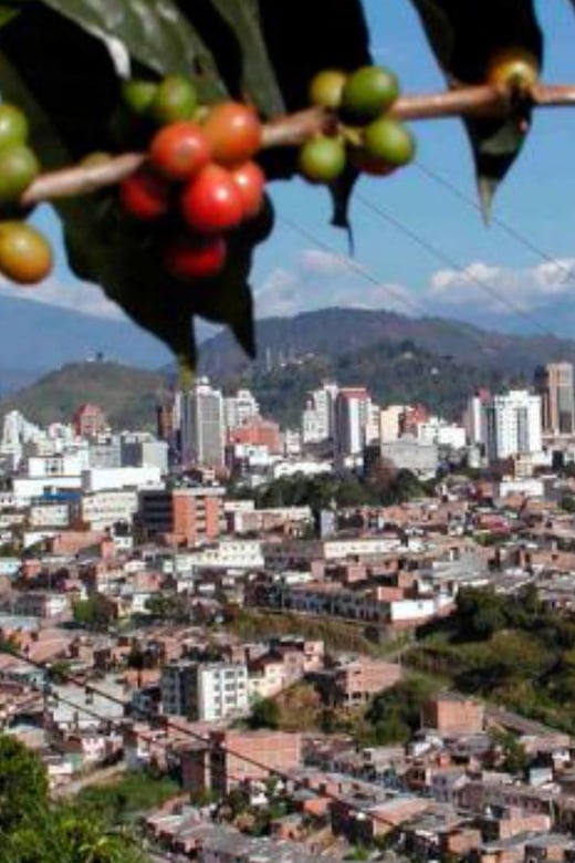 Pereira to Cali (Or Vice Versa) - Private Transport - Scenic Journey