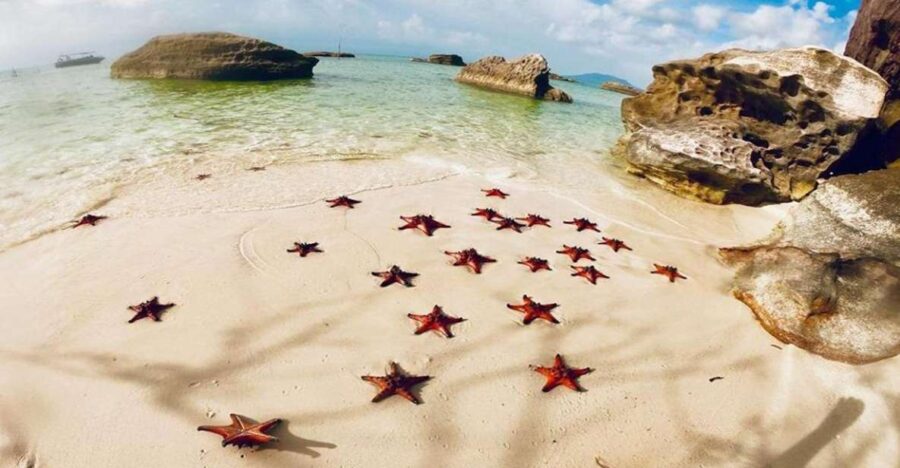 Phu Quoc: Kayaking With Starfish Beach and Bee Farm Tour - Tour Overview and Pricing