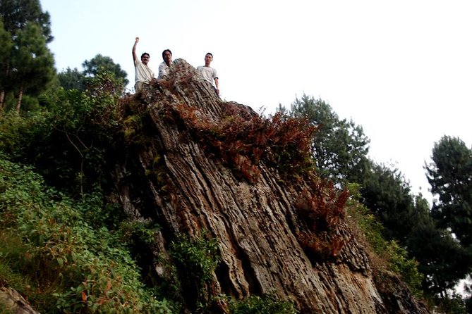 Phulchwoki Hill Hike Review: A Day Adventure