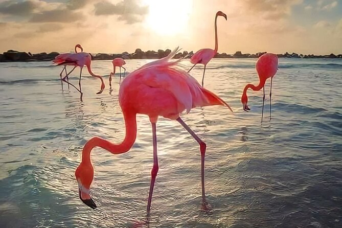 Pinktastic Lagoon Adventure Las Coloradas & Rio Lagartos From Cancun
