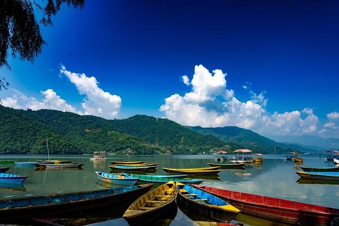 Pleasing Pokhara City With Captivating Chitwan Jungle Tour From Kathmandu - Overview of the Tour
