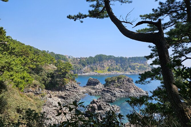 Private 2DAYS Tour a Lot of Experience Driver in Jeju Island