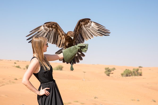 Private Abu Dhabi Evening Desert Safari (Exclusive)