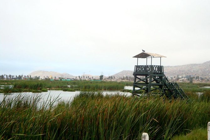 Private and Exclusive Nature and Trek in Chorrillos - Exploring the Chorrillos Wetlands