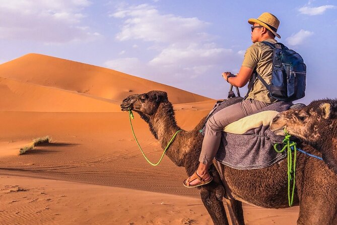 Private Camel Ride Over Erg Chebbi For Sunset Or Sunrise