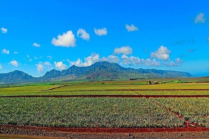 Private Customizable Oahu Grand Circle Island Tour From Waikiki