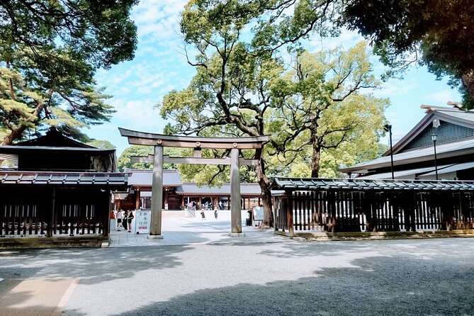 Private Day Tour of Tokyo Shrine for Oharai Yakubarai - Tour Overview