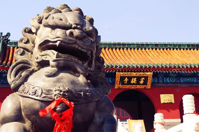 Private Day Tour to Shaolin Temple From Beijing by Bullet Train With Kungfu Show - Tour Overview and Details