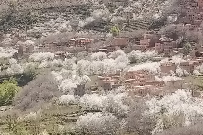 Private Day Trip From Marrakech to Atlas Mountains
