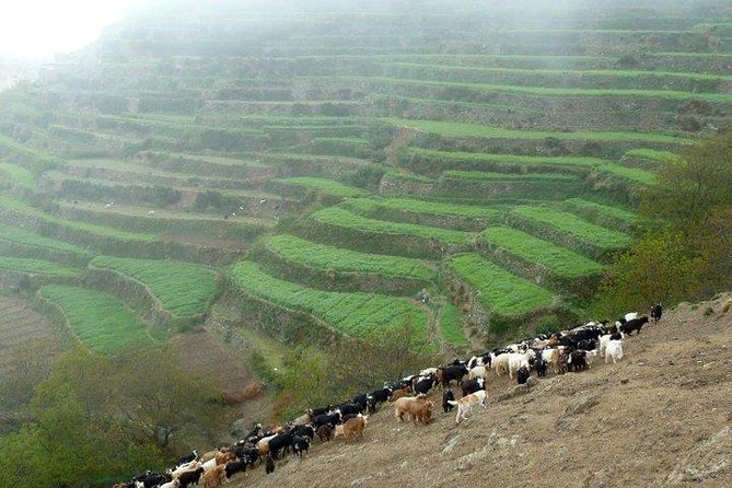 Private Day Trip to Atlas Mountains With Lunch