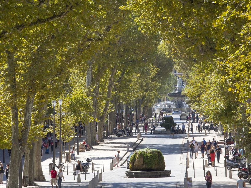 Private Day Trip to Provence and Lavender Fields
