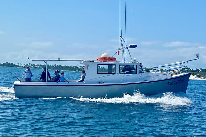 Private Dolphin Cruise in Panama City Beach