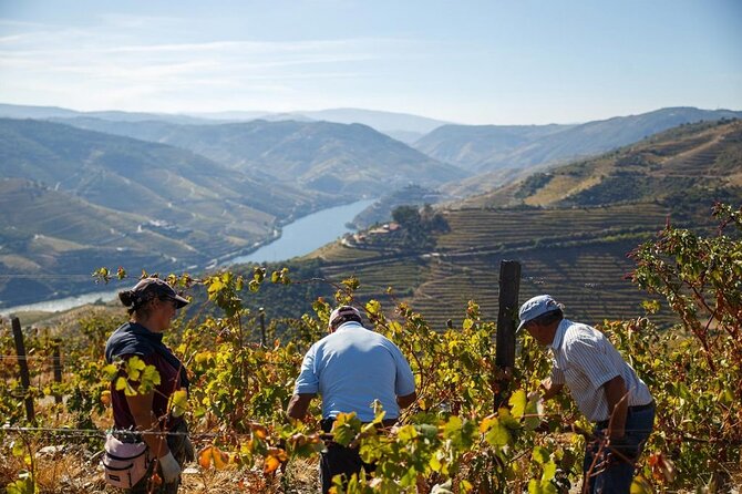 Private Douro Tour With Lunch Wine Tasting Boat and Train Cruise