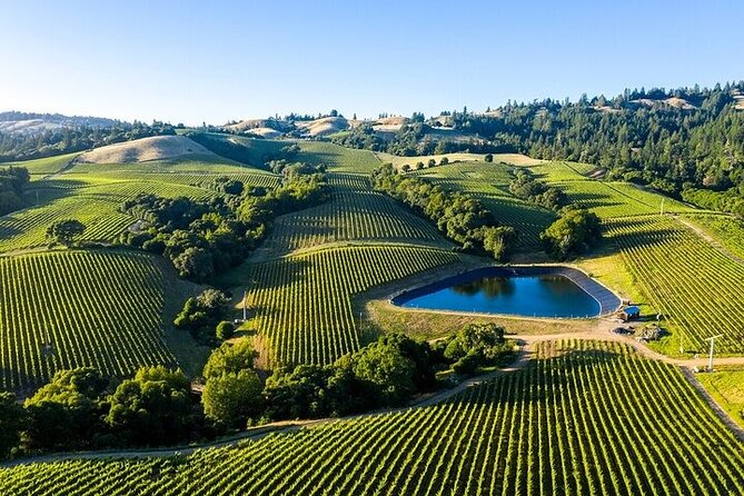 Private Enchanted Napa & Sonoma Wine Tour From Oakland