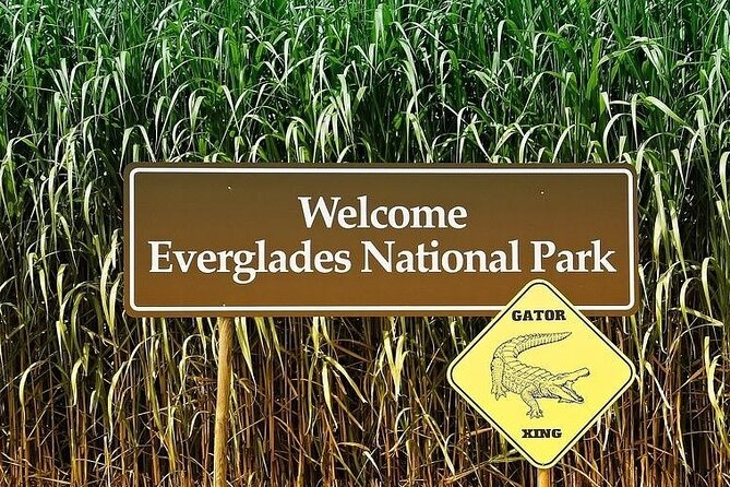 Private Everglades Tour Review: A Memorable Experience