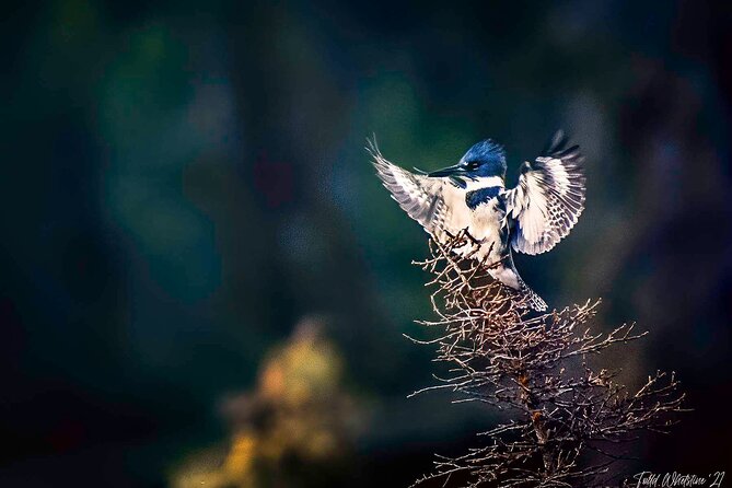 Private Full Day Photography Workshop of Fairbanks - Workshop Overview