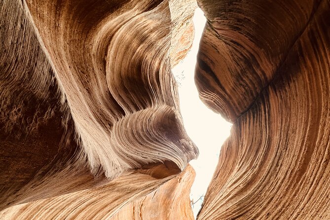 Private Guided Hike Through Buckskin Gulch Wire Pass