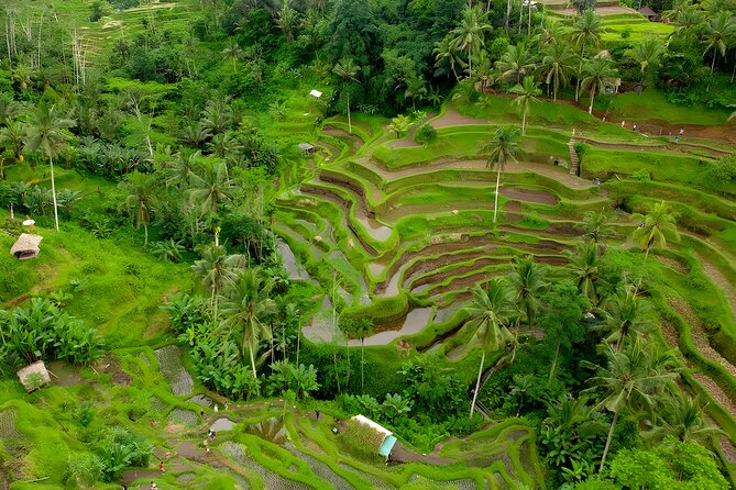 Private Half Day-Tour: Ubud Art Village Trip - Tour Overview