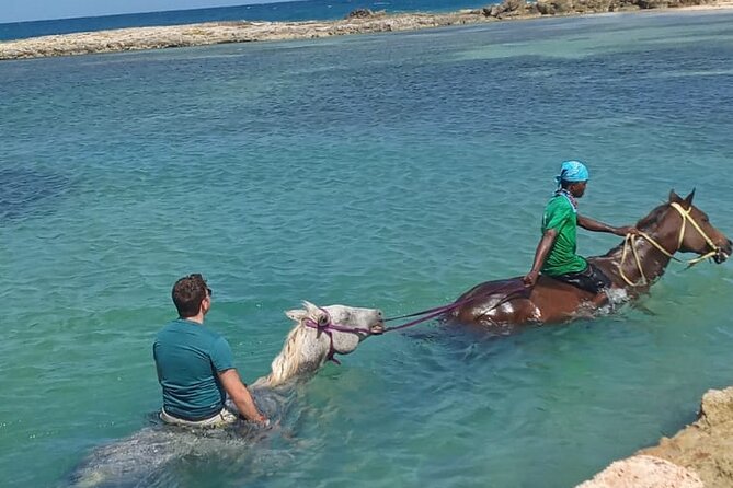Private Horseback Riding From Falmouth