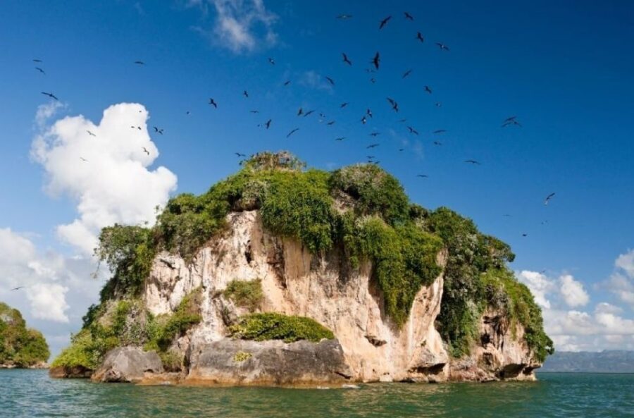Private: Los Haitises & Cayo Levantado From Samana