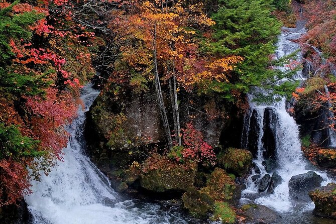 Private Nikko Tour With Transfer