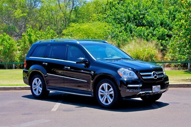 Private Round-Trip Transfer: Maui Kahului Airport to Maui Hotels - Overview of Private Round-Trip Transfer Services