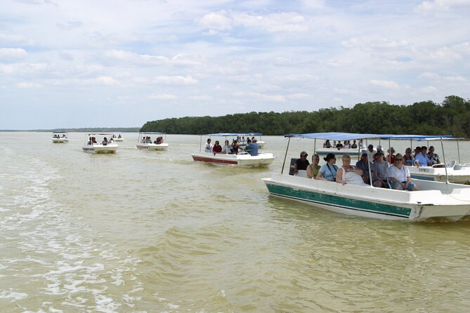 Private Tour: Celestun Biosphere Reserve by Yucatan Concierge