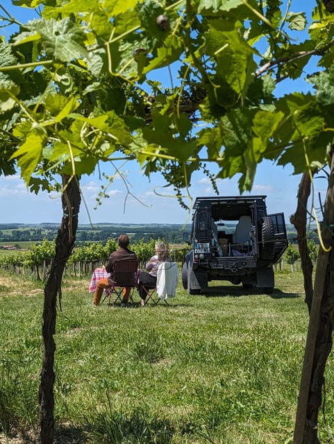 Private Tour Day in the Heart of the Cognac Vineyards - Scenic Drive Through Charente