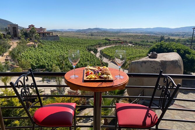 Private Tour in Guadalupe Valley, Vineyards & Wine Route ENS MX