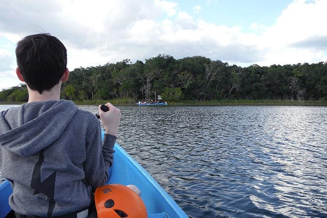 Private Tour: Jungle Adventure at Punta Laguna Nature Reserve
