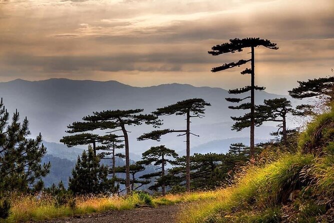 Private Tour to Konjuh : Relaxation in a Protected Landscape - Tour Overview