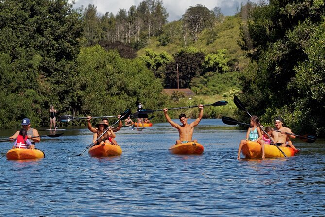 PRIVATE TOUR-Ultimate North Shore Experience