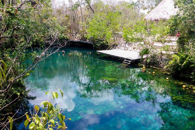 Private Transfer for 5 Hours (Go Dinner,Cenotes, Shopping and More) - Service Overview